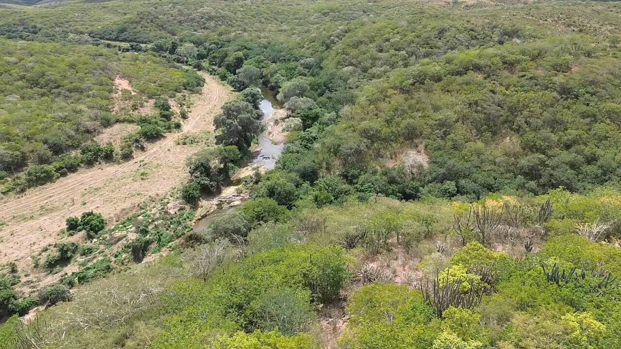 #45 - Terreno para Venda em Coronel João Sá - BA