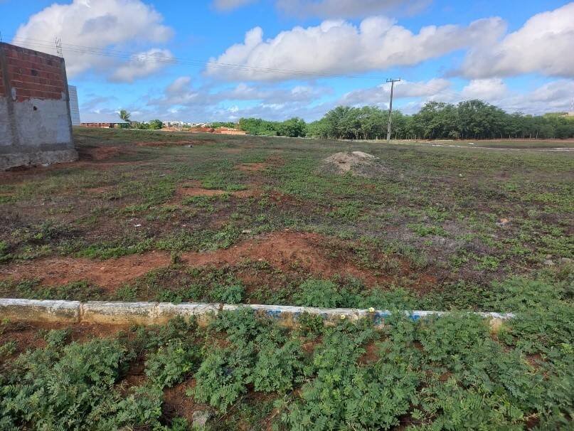 #63 - Área para Venda em Coronel João Sá - BA