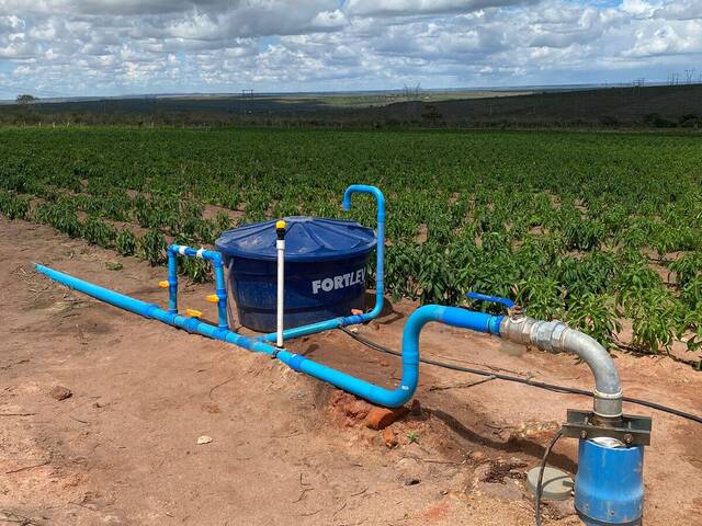 #25 - Área para Venda em Jeremoabo - BA
