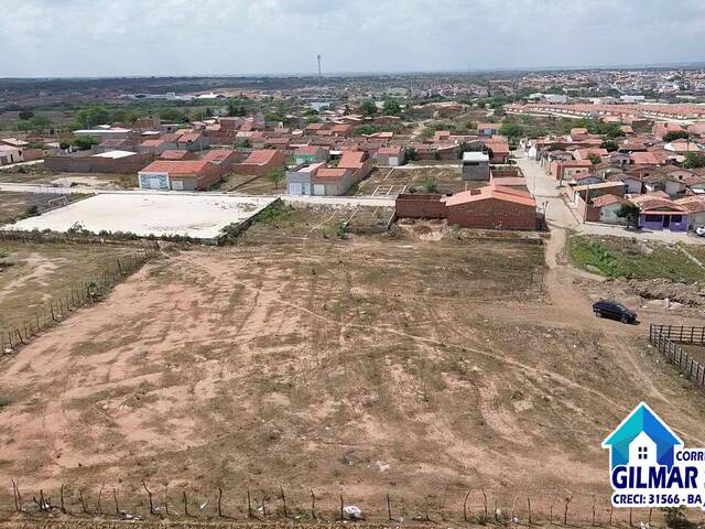 #33 - Terreno para Venda em Coronel João Sá - BA - 1