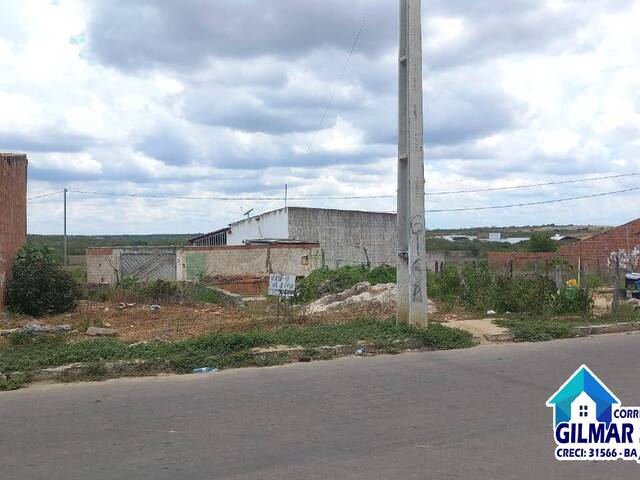 #44 - Terreno para Venda em Coronel João Sá - BA - 3