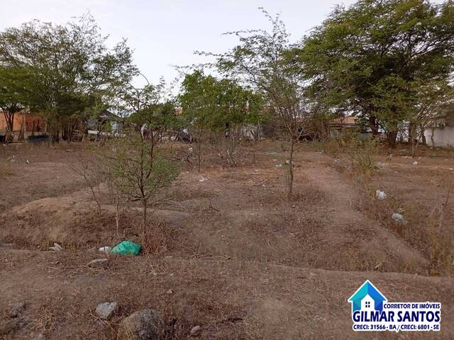 #49 - Área para Venda em Coronel João Sá - BA - 1