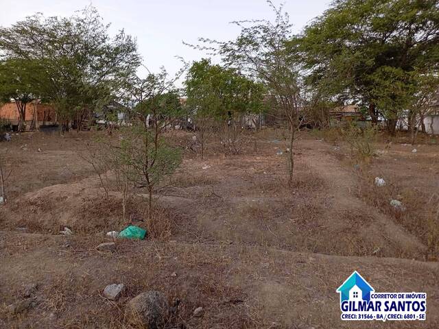 #49 - Área para Venda em Coronel João Sá - BA - 3