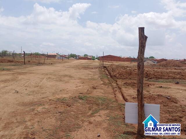 Terreno para Venda em Coronel João Sá - 5