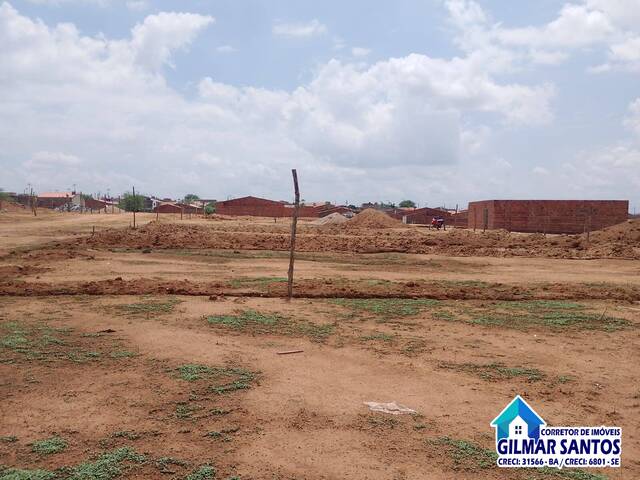 #60 - Terreno para Venda em Coronel João Sá - BA - 3