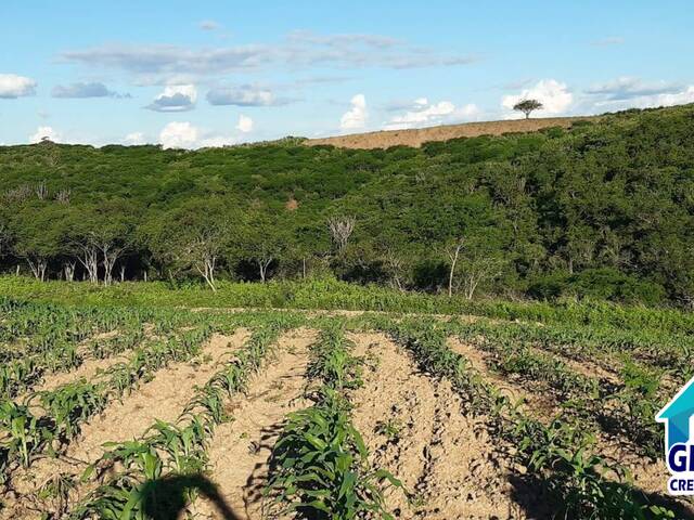 #61 - Área para Venda em Sítio do Quinto - BA - 3