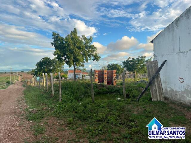 #64 - Chácara para Venda em Coronel João Sá - BA - 2