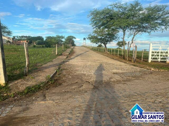 #64 - Chácara para Venda em Coronel João Sá - BA - 3