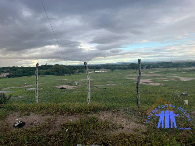 #67 - Área para Venda em Coronel João Sá - BA - 2