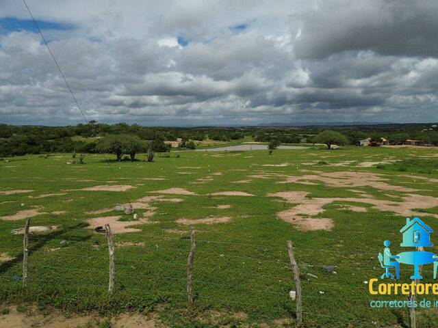 #67 - Área para Venda em Coronel João Sá - BA - 1