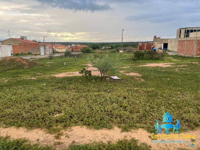 #69 - Terreno para Venda em Coronel João Sá - BA - 3