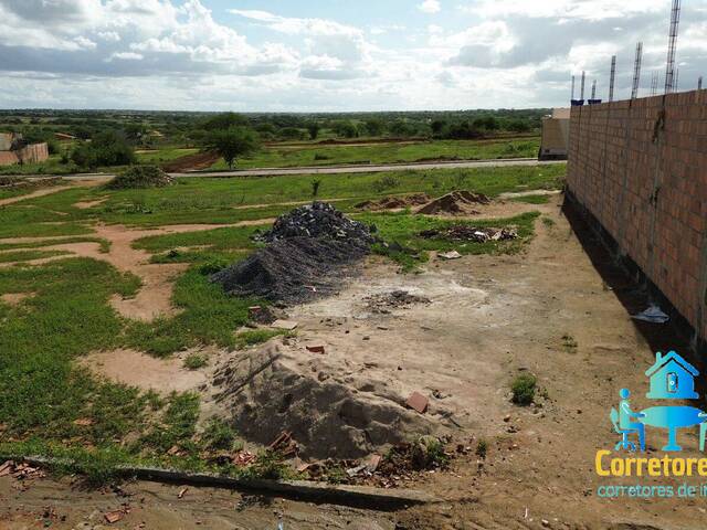 #71 - Área para Venda em Coronel João Sá - BA - 1