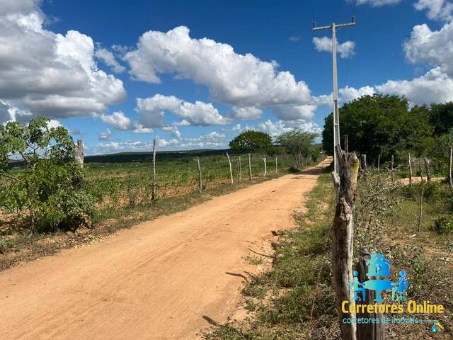 #72 - Chácara para Venda em Coronel João Sá - BA - 2