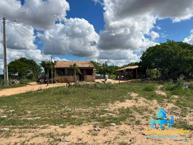 Venda em Zona Rural - Coronel João Sá