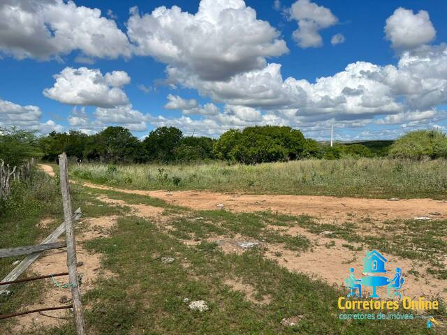 Chácara para Venda em Coronel João Sá - 4