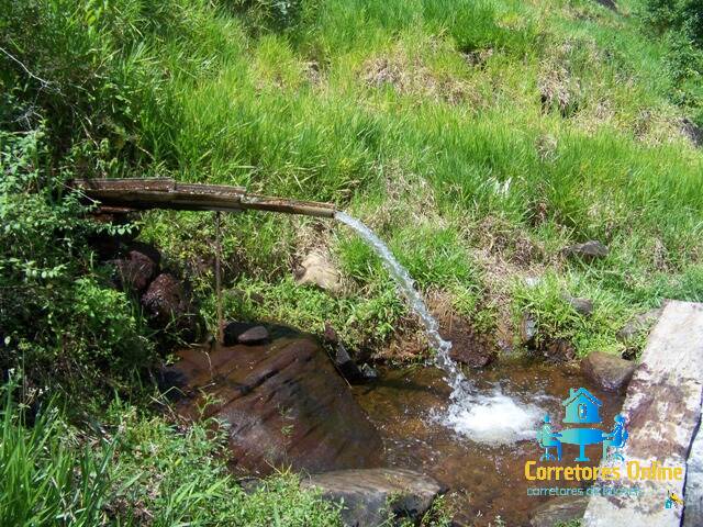 Fazenda para Venda em Maraú - 4
