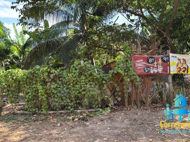 Área para Venda em Maraú - 3