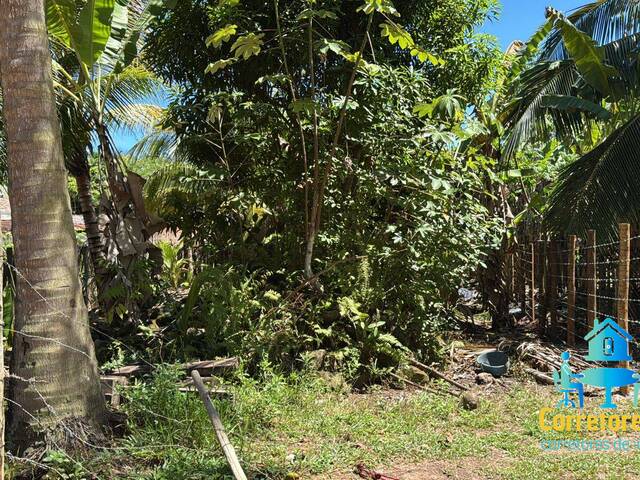Área para Venda em Maraú - 5