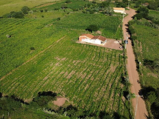 Chácara para Venda em Coronel João Sá - 4