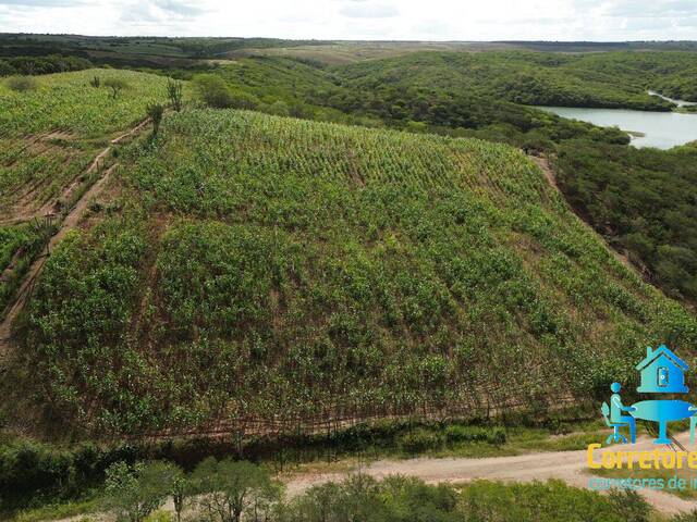Área para Venda em Sítio do Quinto - 2