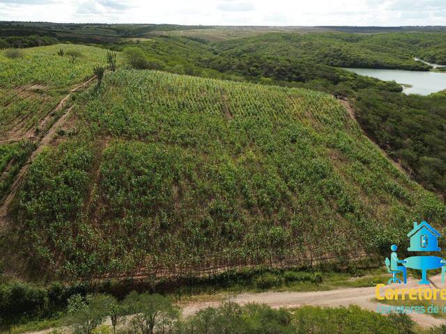Área para Venda em Sítio do Quinto - 4