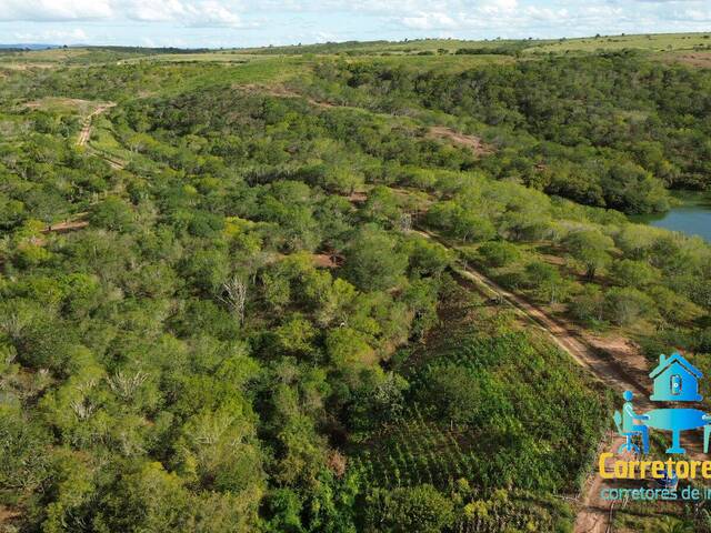 Área para Venda em Sítio do Quinto - 5