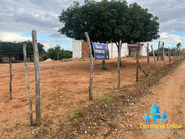 #41 - Chácara para Venda em Coronel João Sá - BA - 3