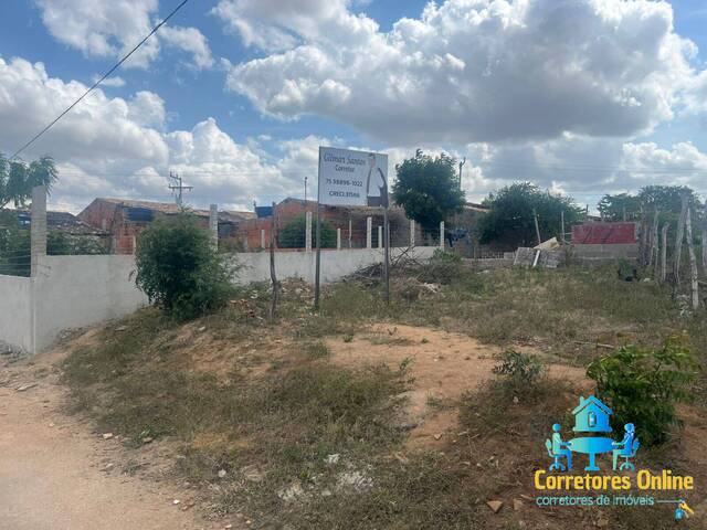 #102 - Área para Venda em Coronel João Sá - BA - 1