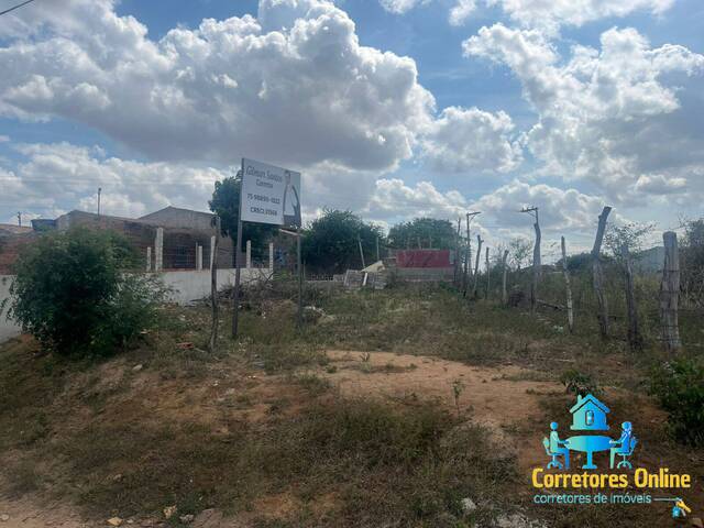 #102 - Área para Venda em Coronel João Sá - BA - 2