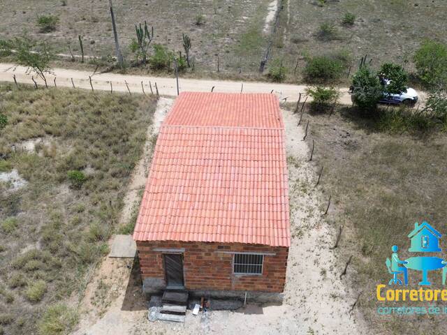 #105 - Chácara para Venda em Coronel João Sá - BA - 2