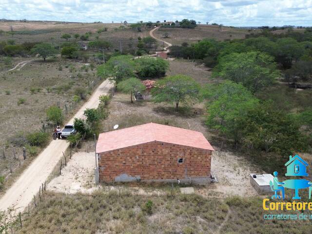 #105 - Chácara para Venda em Coronel João Sá - BA - 3