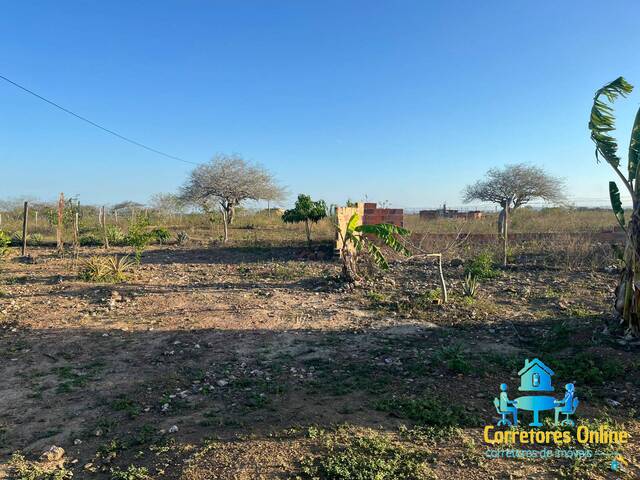 Chácara para Venda em Coronel João Sá - 4